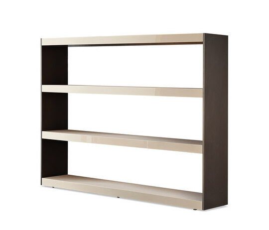 Carson Bookcase