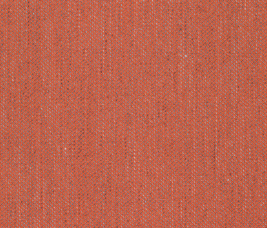Clara 2 - 0548