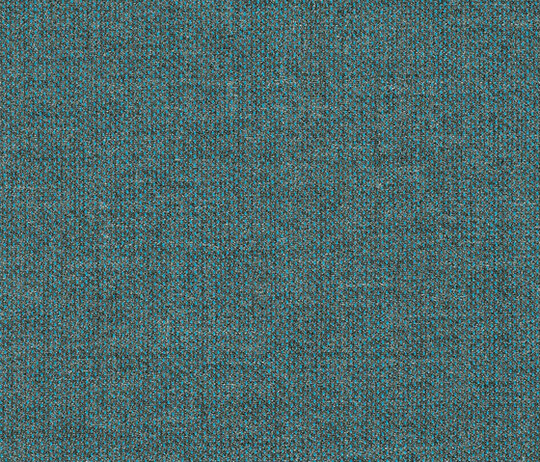 Clara 2 - 0884