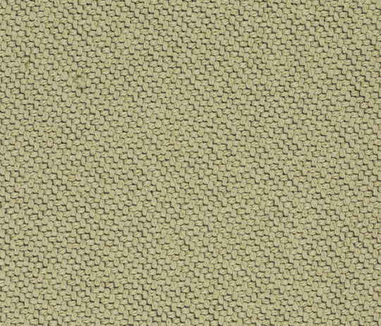 Coda 2 - 0222