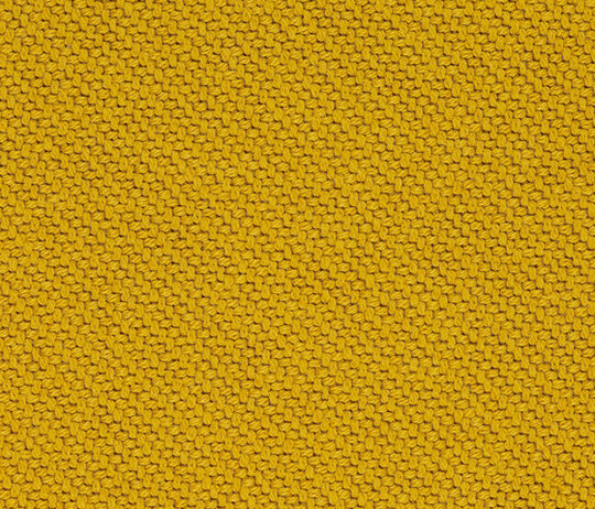 Coda 2 - 0442