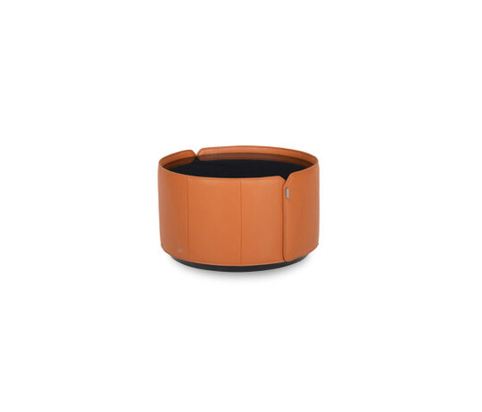 DS-5020 Collar
