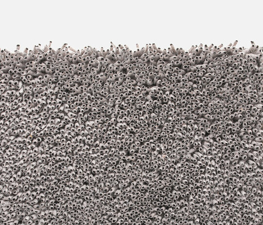Grano - 0111