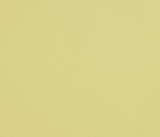 Haze - 0404