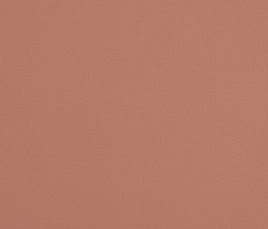 Haze - 0504