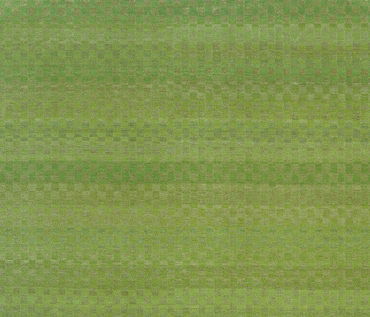 Mauro & Spice | Mauro Checkerboard
