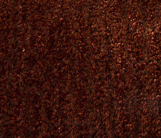 Mystique 170220 - 170220