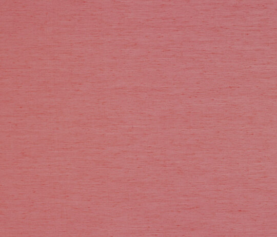 Noon - 0542