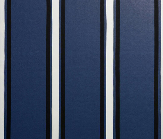 Ray Indigo col. 001