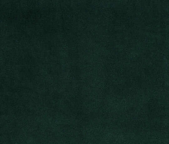 Spritz - Lichene