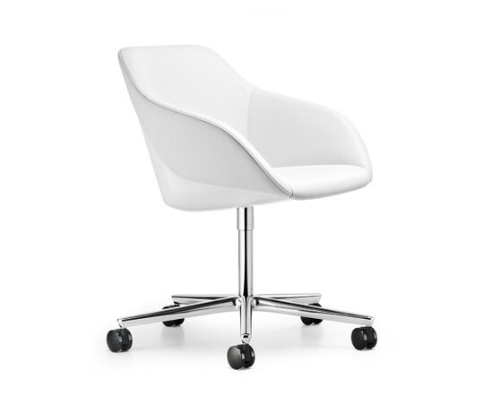 Turtle Chair