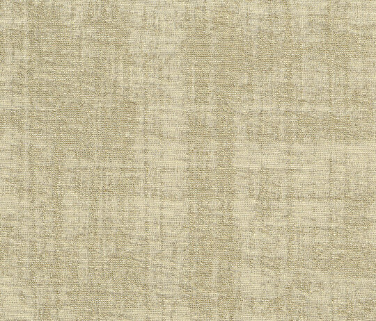 Venier - Avorio