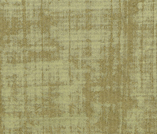 Venier - Oliva