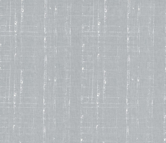 Birches - 0011