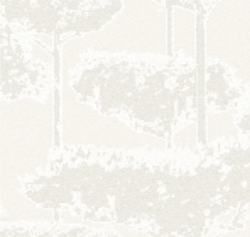 Glass | Dolce Vita VP 642 01