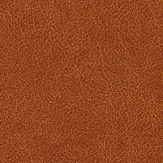 Cuirs leathers | Conquistador VP 690 11