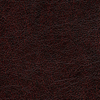 Cuirs leathers | Conquistador VP 690 13