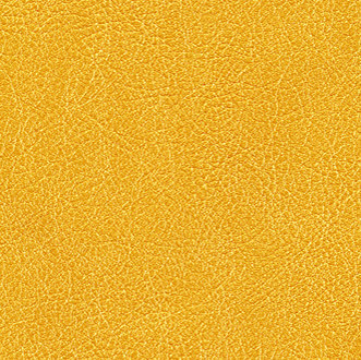 Cuirs leathers | Conquistador VP 690 14