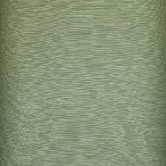 Iris Wall col.8 alloro
