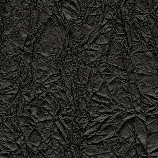 Washi | Splendeurs d'une favorite RM 221 80