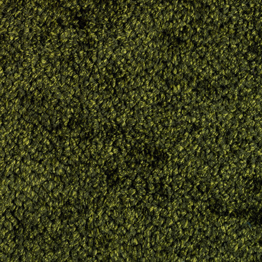 Bellezza | Lumière Véronèse | LR 349 67