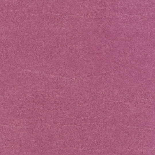 Club LW 360 50