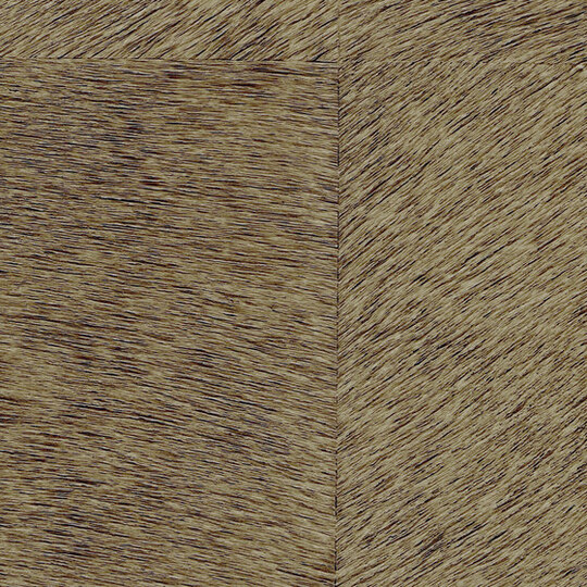 Natives | Movida HPC CV 101 10