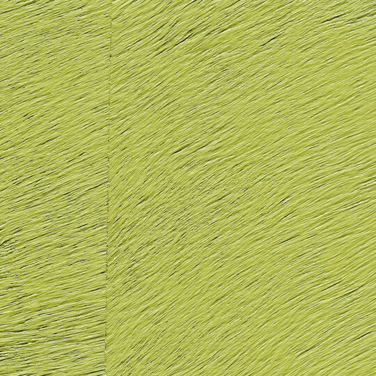 Natives | Movida HPC CV 101 19