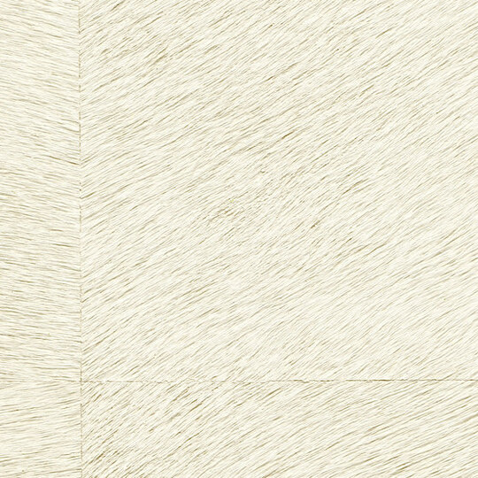 Natives | Movida HPC CV 101 27