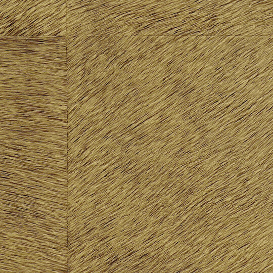 Natives | Movida HPC CV 101 30