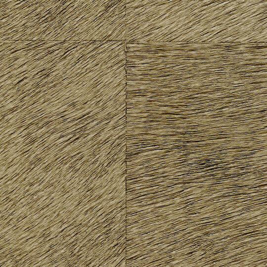 Natives | Movida HPC CV 101 32
