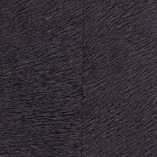 Natives | Movida HPC CV 101 37