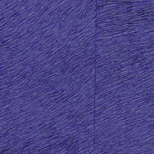 Natives | Movida HPC CV 101 38