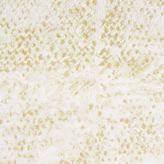 Natural Mood | Laca salvaje | VP 916 05
