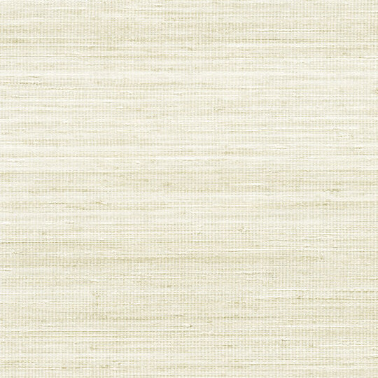 Panama | Musa VP 710 03
