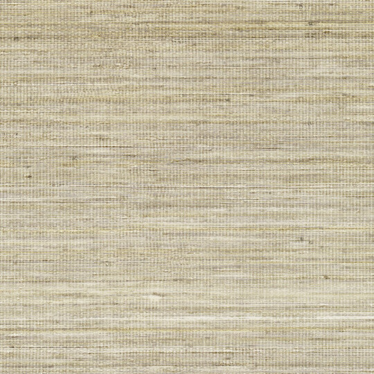 Panama | Musa VP 710 06