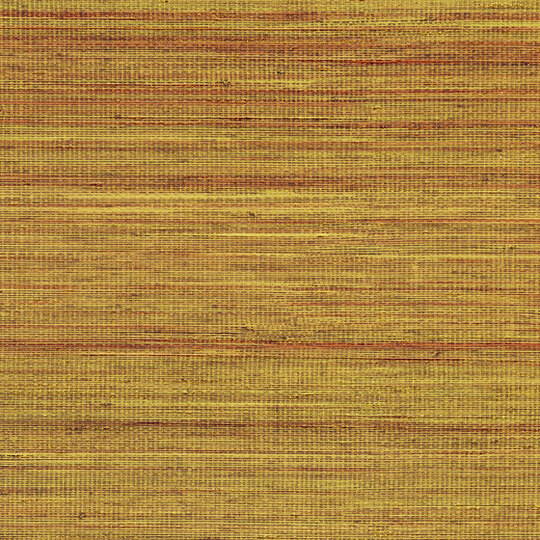 Panama | Musa VP 710 13