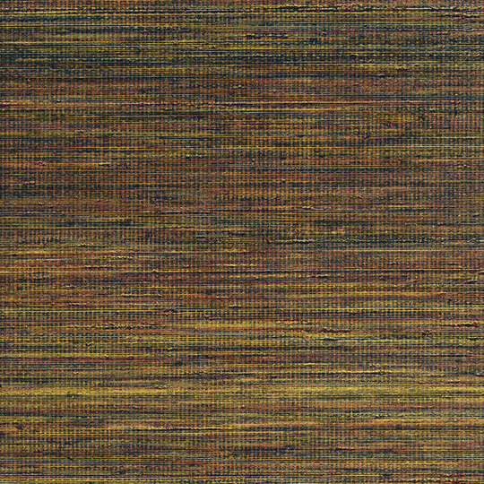 Panama | Musa VP 710 15