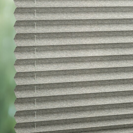 Sycamore Stainstop 1962
