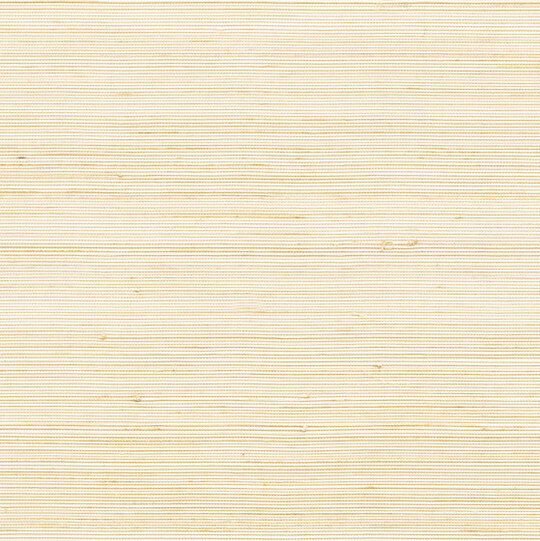 Coiba RM 110 03