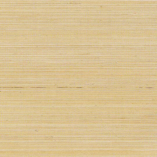 Coiba RM 110 24