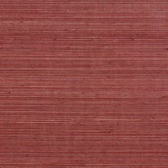 Coiba RM 110 31