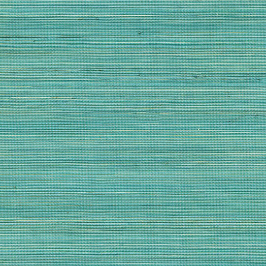 Coiba RM 110 47