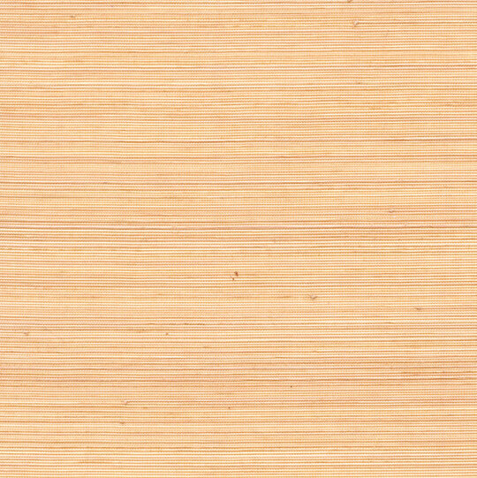 Coiba RM 110 53