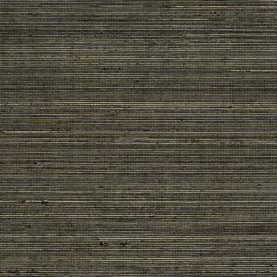 Coiba RM 110 62