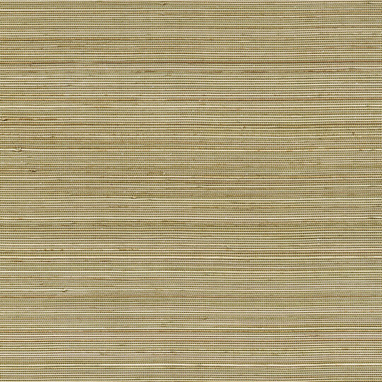Coiba RM 110 68
