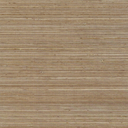 Coiba RM 110 74
