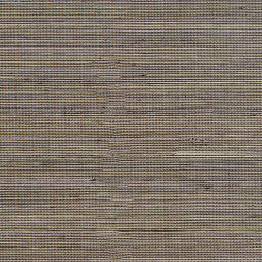 Coiba RM 110 87