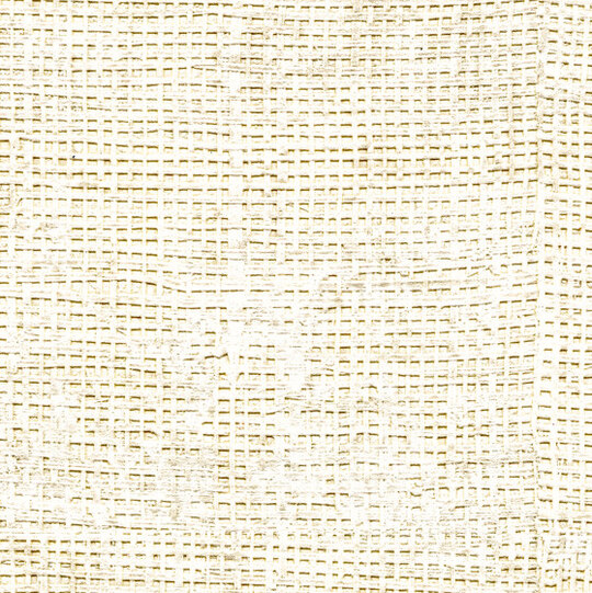 Raffia | Raffia HPC CV 111 03