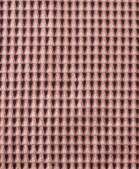 Viva col. 003
